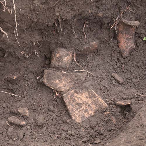発掘中の弥生土器の破片の写真です